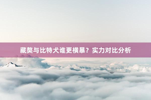 藏獒与比特犬谁更横暴？实力对比分析