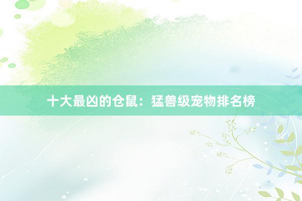 十大最凶的仓鼠：猛兽级宠物排名榜