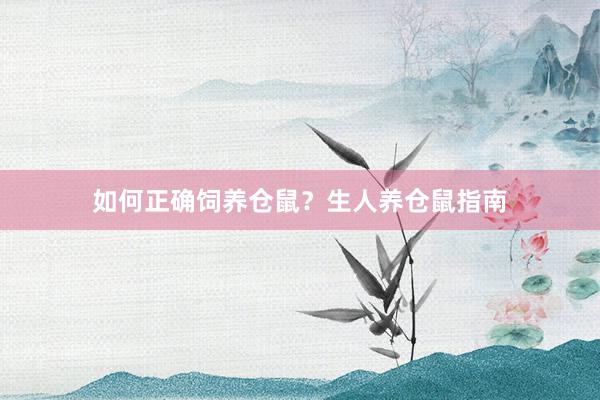 如何正确饲养仓鼠？生人养仓鼠指南